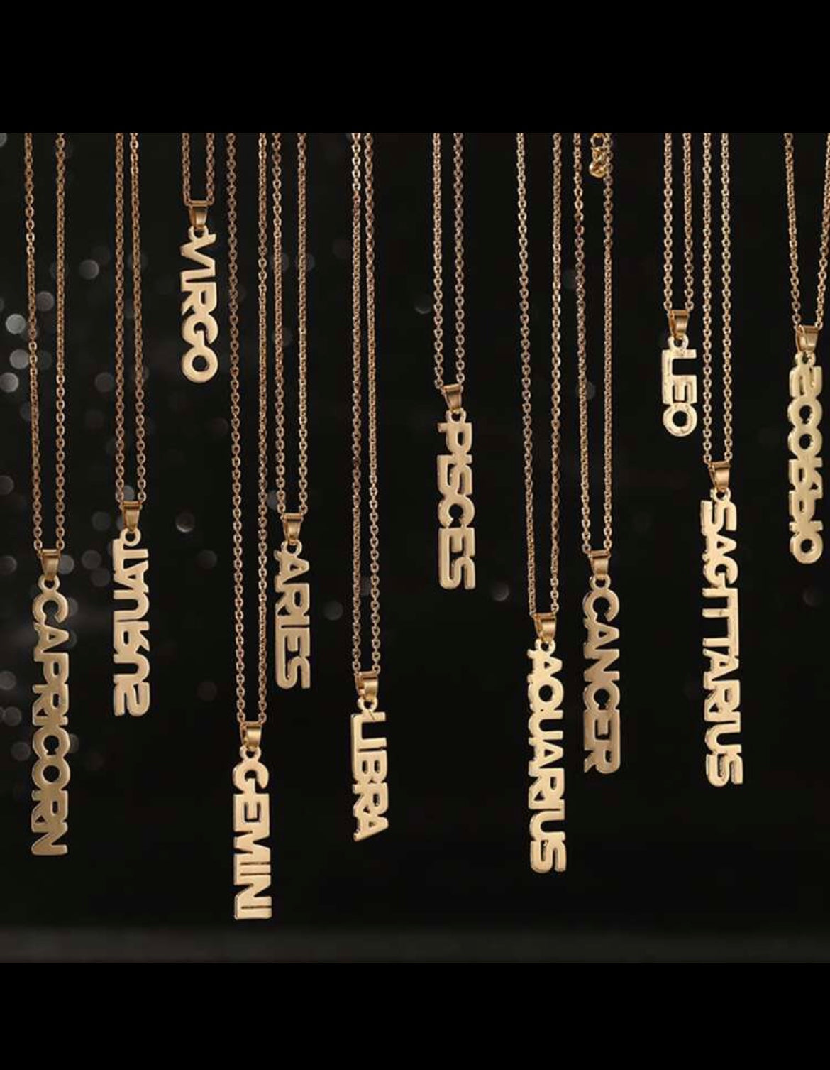 Vertical zodiac necklace ￼