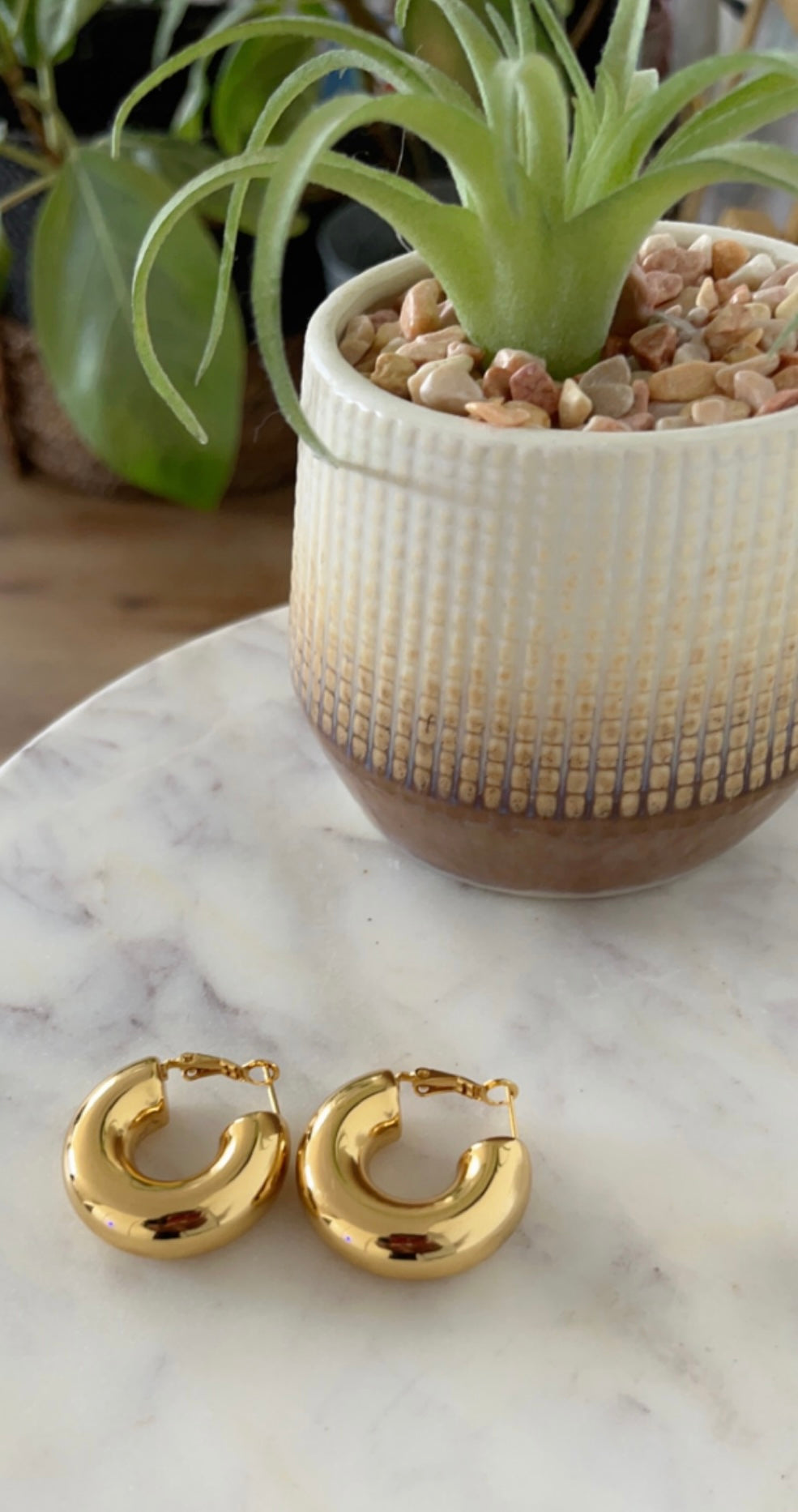 The Zoe Hoop